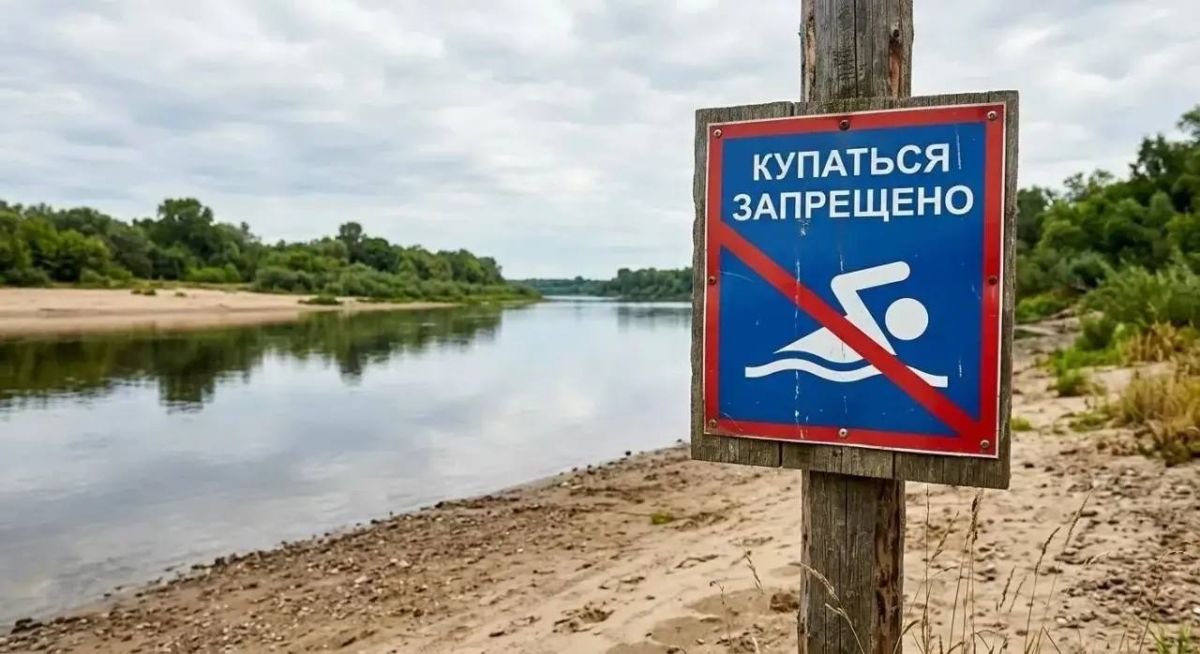 Исилькульский комплексный центр стал победителем закрытого конкурса «Туда, где семья» Фонда Тимченко с проектом «Компас семьи» Исилькульский комплексный центр стал победителем закрытого конкурса «Туда, где семья» Фонда Тимченко с проектом «Компас семьи»