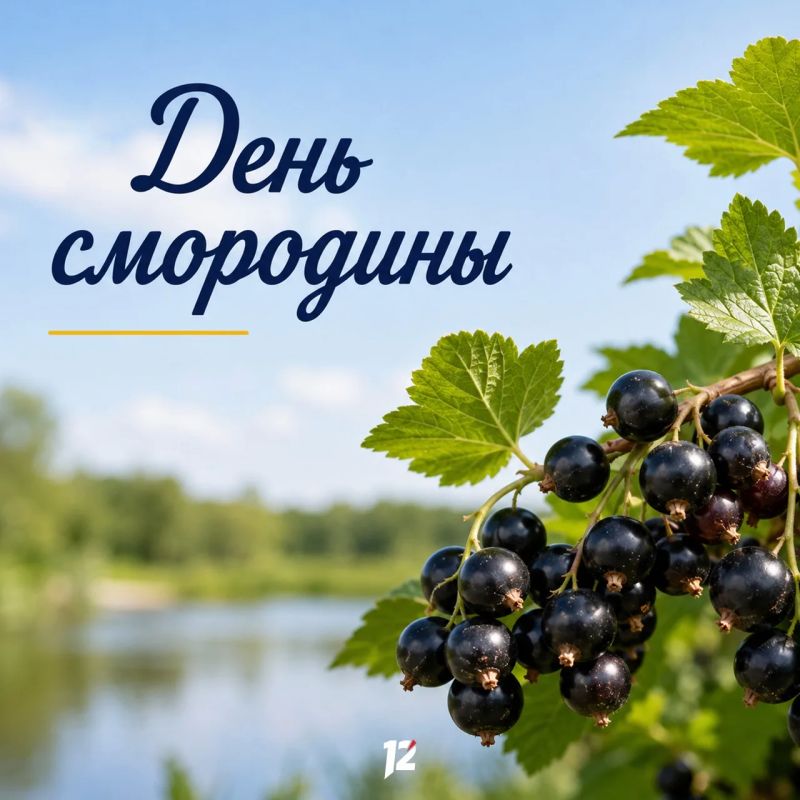 Сегодня вкусный праздник — День смородины Сегодня вкусный праздник — День смородины