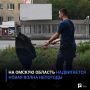 На Омскую область надвигается новая волна непогоды