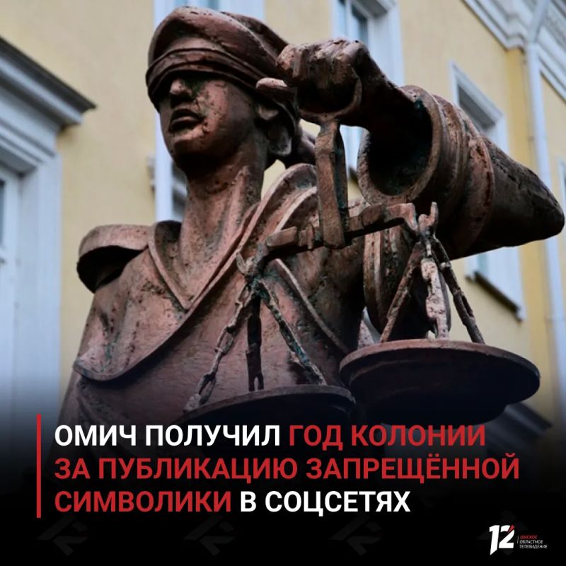 Омич получил год колонии за публикацию запрещённой символики в соцсетях