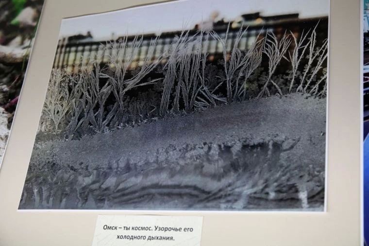 В Омске открылась фотовыставка Дениса Банникова «Два города» В Омске открылась фотовыставка Дениса Банникова «Два города»