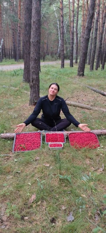 Омичи делятся кадрами богатого лесного урожая