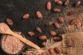 Какао, орехи кешью и кофе могут начать привозить в Омск из Африки