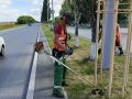 Управляющие компании Левобережья активизировали работу по покосу травы на придомовых территориях