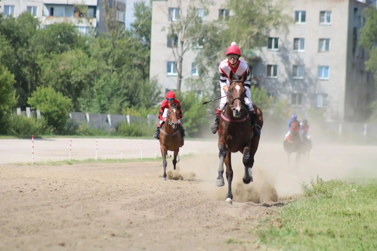 В Омске стартовал 26-й Федеральный Сабантуй! Он является одним из центральных событий программы года Культурной столицы-2026 В Омске стартовал 26-й Федеральный Сабантуй! Он является одним из центральных событий программы года Культурной столицы-2026