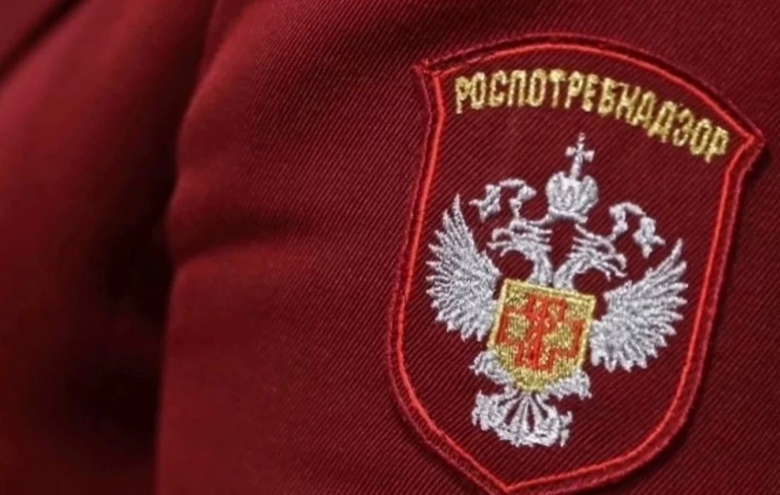 Роспотребнадзор опубликовал итоги предварительной проверки в детском лагере «Динамовец»