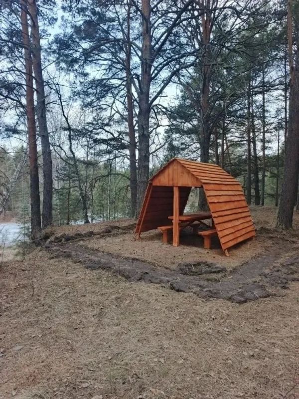 В лесах установили 198 зон отдыха