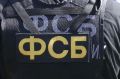 В Омске задержали организатора фиктивных трудовых договоров для мигрантов