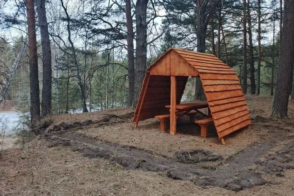 Для омичей в лесах обустроили почти 200 зон отдыха