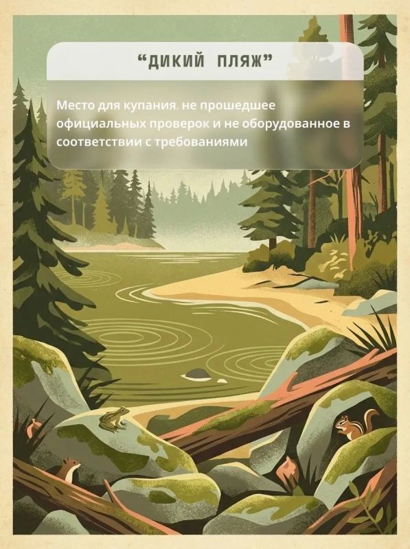 Где можно купаться: как найти и проверить пляж на безопасность Где можно купаться: как найти и проверить пляж на безопасность