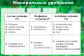 Как правильно удобрять яблони: секреты здорового урожая