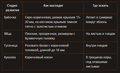 Как защитить свой сад от яблонной плодожорки: простые и эффективные методы