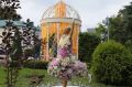 «Флора» в Омске изменит привычное место проведения