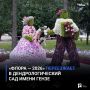 «Флора — 2026» переезжает в дендрологический сад имени Гензе