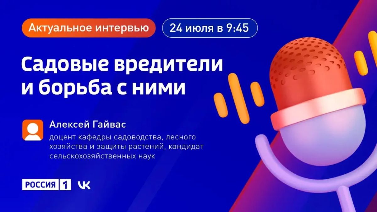 Омских садоводов в этом году атакует хомяк