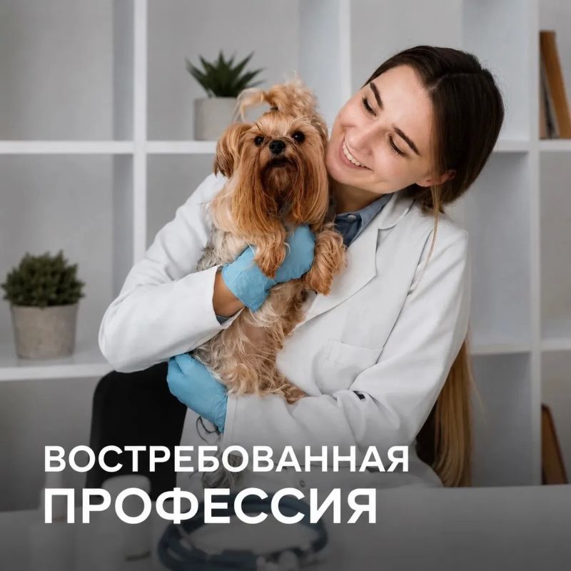 Остался 1 День. Один день до завершения приёма документов на бюджетные места по результатам ЕГЭ Успей подать документы и сделать первый шаг к профессии мечты! Сделай выбор сегодня! Телефон приёмной комиссии: +7 (3812)... Остался 1 День. Один день до завершения приёма документов на бюджетные места по результатам ЕГЭ Успей подать документы и сделать первый шаг к профессии мечты! Сделай выбор сегодня! Телефон приёмной комиссии: +7 (3812)...