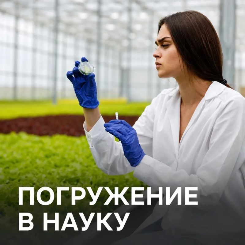 Остался 1 День. Один день до завершения приёма документов на бюджетные места по результатам ЕГЭ Успей подать документы и сделать первый шаг к профессии мечты! Сделай выбор сегодня! Телефон приёмной комиссии: +7 (3812)... Остался 1 День. Один день до завершения приёма документов на бюджетные места по результатам ЕГЭ Успей подать документы и сделать первый шаг к профессии мечты! Сделай выбор сегодня! Телефон приёмной комиссии: +7 (3812)...