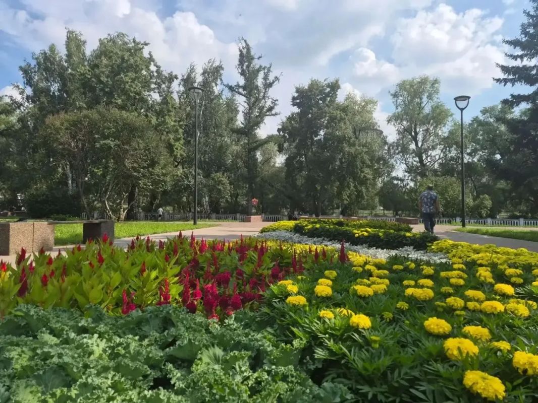 В Омске высадили более полумиллиона цветов В Омске высадили более полумиллиона цветов