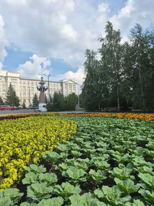 В Омске высадили более полумиллиона цветов В Омске высадили более полумиллиона цветов