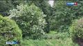 В Омске открывается выставка зелёного строительства, цветоводства и садоводства «Флора»