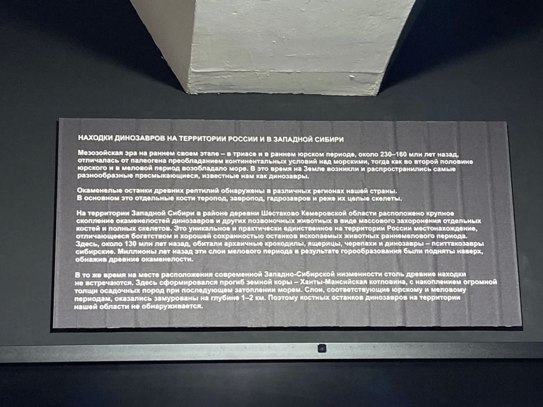 В Краеведческом музее появился новый обитатель - пситтакозавр сибирский В Краеведческом музее появился новый обитатель - пситтакозавр сибирский