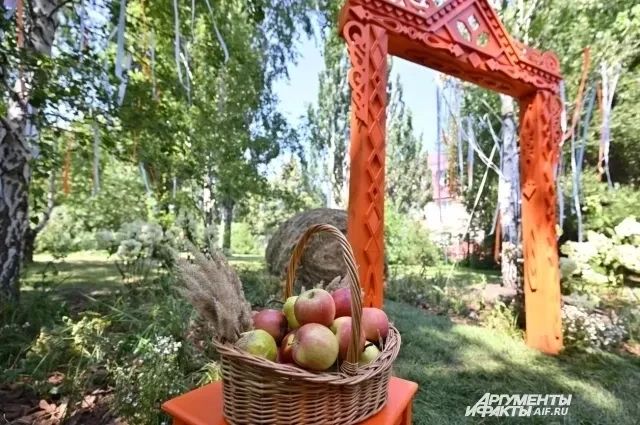 Дендросад им. Г. И. Гензе закроют 4 августа
