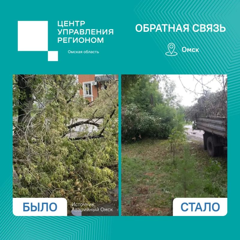 По сигналу омича вывезли ветки