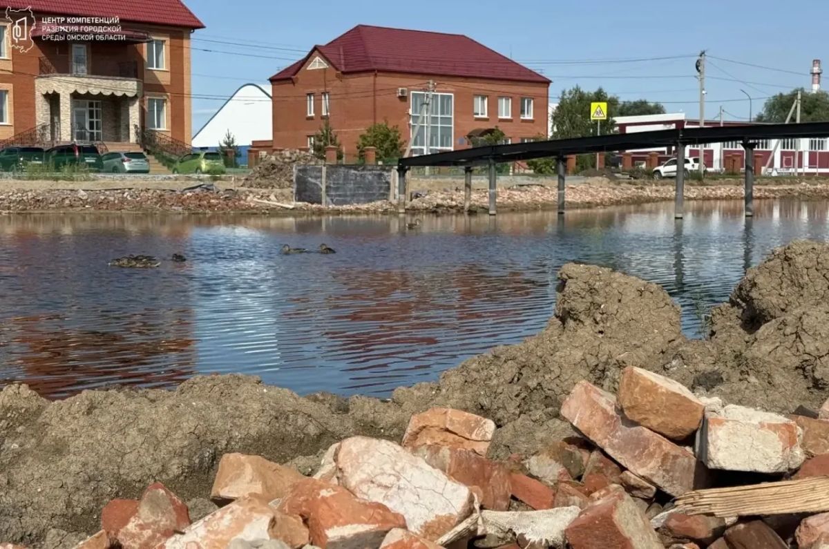 В роли Жар-птиц — утки!. Пернатое семейство обосновалось на «Озере Жар-птицы»: мама-утка и 8 утят уже ощутили себя полноправными хозяевами пространства, благоустройство которого сейчас идёт полным ходом В роли Жар-птиц — утки!. Пернатое семейство обосновалось на «Озере Жар-птицы»: мама-утка и 8 утят уже ощутили себя полноправными хозяевами пространства, благоустройство которого сейчас идёт полным ходом