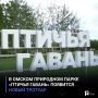 В омском природном парке «Птичья гавань» появится новый тротуар