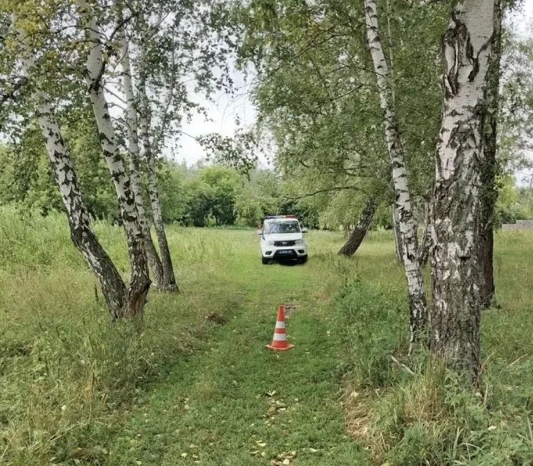 Сегодня в 14:40 часов в дежурную часть ОМВД России по Большереченскому району сообщили о ДТП с пострадавшими