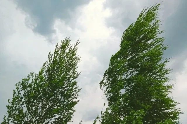 В Омске продлили штормовое предупреждение из-за сильных ливней
