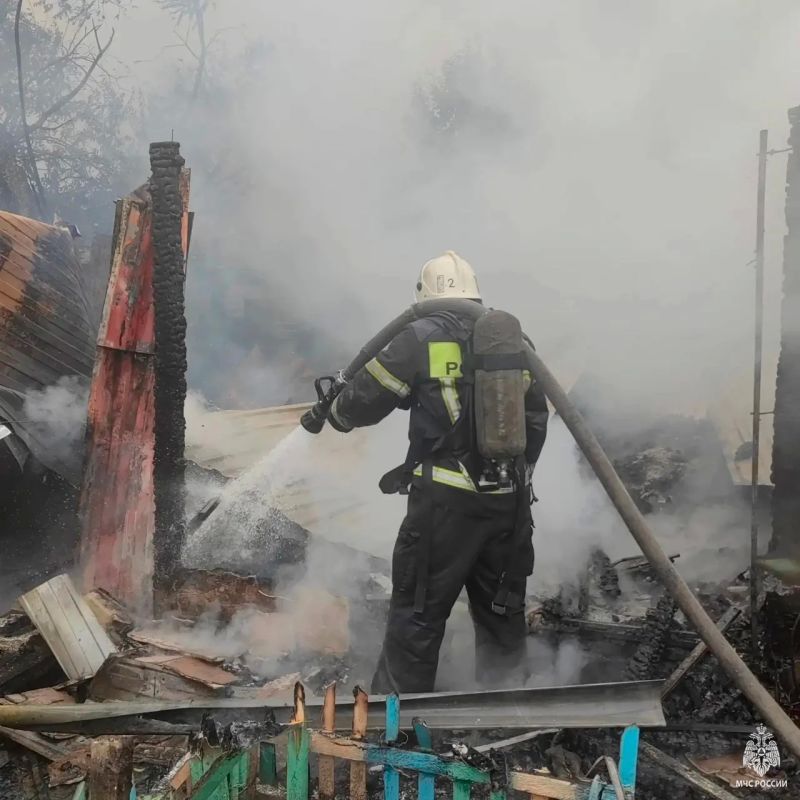 #пожарызасутки. 05 августа в 10:57 В Центральном округе в садоводстве "Садовод-1" горели хозяйственные постройки