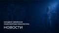 В Омской области транспортная прокуратура направила в суд уголовное дело о незаконном обороте и контрабанде организованной группой сильнодействующих веществ