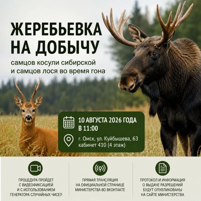 Определена дата жеребьевки на добычу самцов косули сибирской и лося во время гона!
