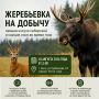 Определена дата жеребьевки на добычу самцов косули сибирской и лося во время гона!