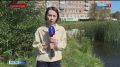 В Омске специалисты разбираются в массовой гибели рыб и уток на озере Кирпичка в Кировском округе