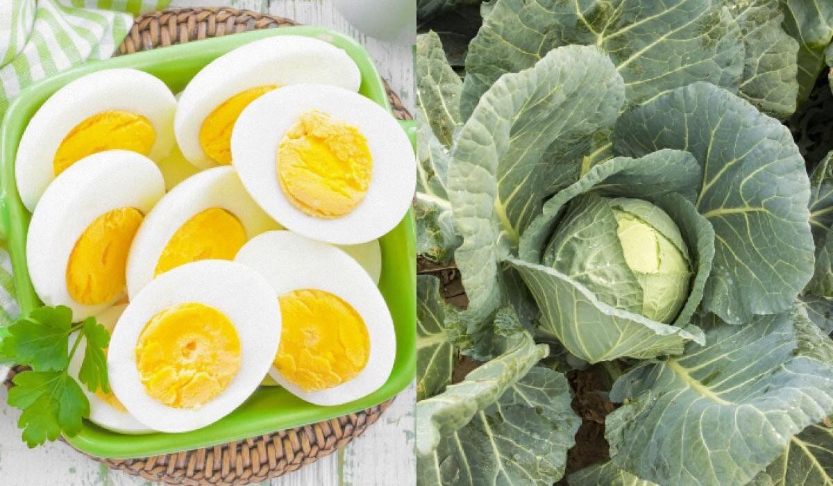 14 суперпродуктов, которые изменят ваш рацион
