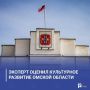 Эксперт оценил культурное развитие Омской области