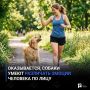 Оказывается, собаки умеют различать эмоции человека по лицу