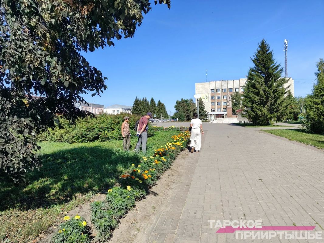 В Таре продолжают работу трудовые отряды подростков (ТОП) В Таре продолжают работу трудовые отряды подростков (ТОП)
