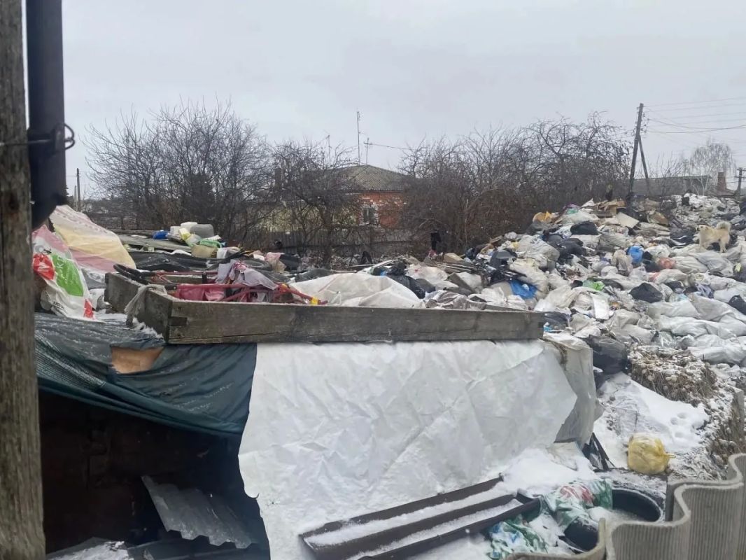 Очистили участок через суд: скандально известная омичка заплатит больше миллиона рублей за хламофилию Очистили участок через суд: скандально известная омичка заплатит больше миллиона рублей за хламофилию