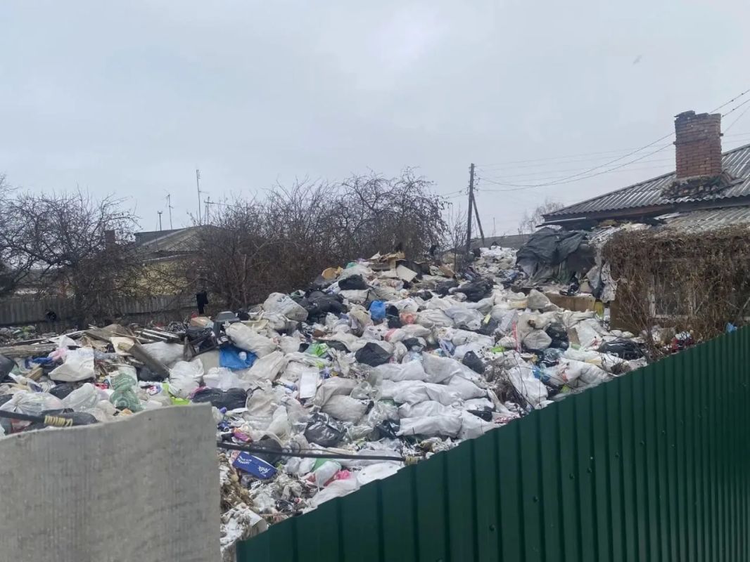 Очистили участок через суд: скандально известная омичка заплатит больше миллиона рублей за хламофилию Очистили участок через суд: скандально известная омичка заплатит больше миллиона рублей за хламофилию