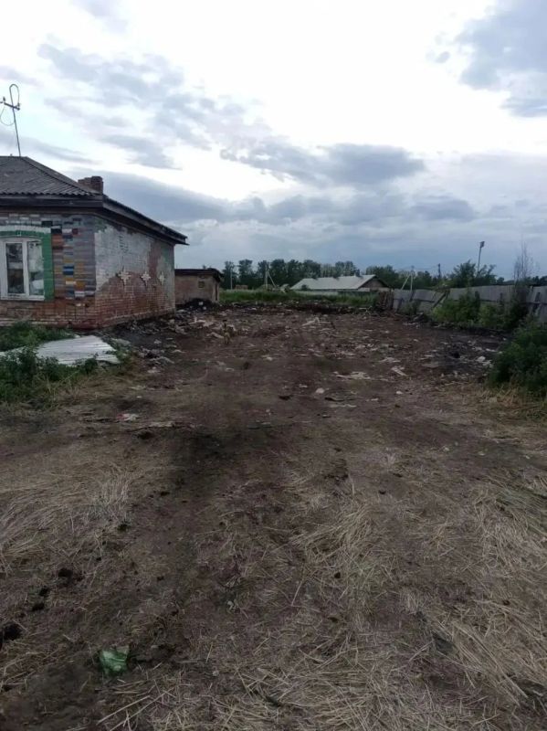 Очистили участок через суд: скандально известная омичка заплатит больше миллиона рублей за хламофилию Очистили участок через суд: скандально известная омичка заплатит больше миллиона рублей за хламофилию