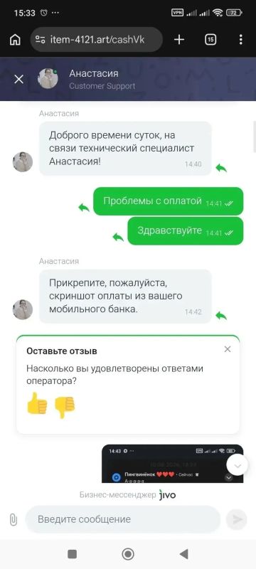 Пёс-призрак: омичка отдала 66 000 рублей за несуществующего хаски Пёс-призрак: омичка отдала 66 000 рублей за несуществующего хаски