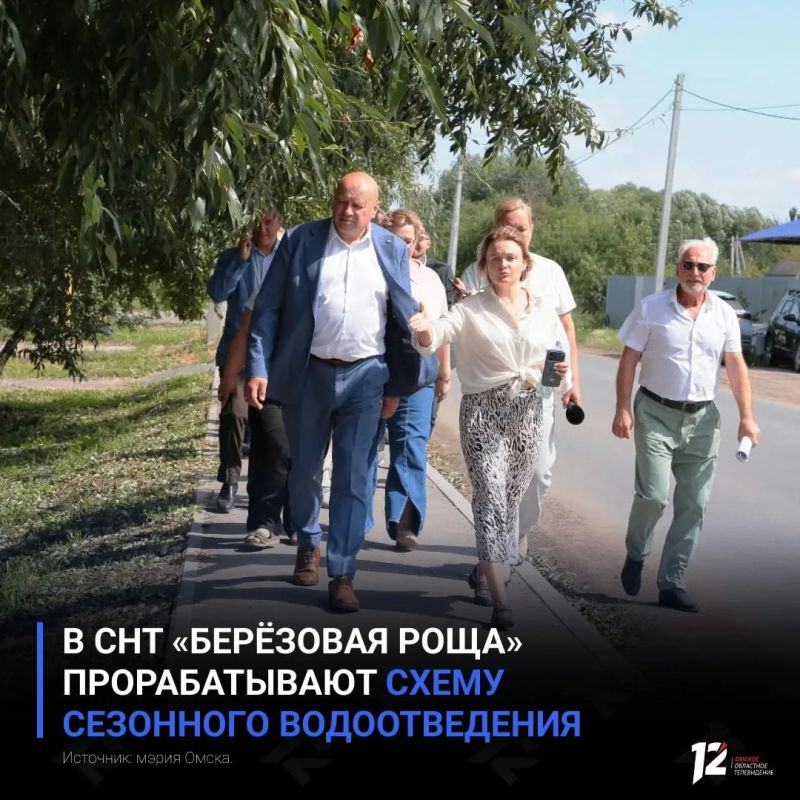 В СНТ «Берёзовая роща» прорабатывают схему сезонного водоотведения