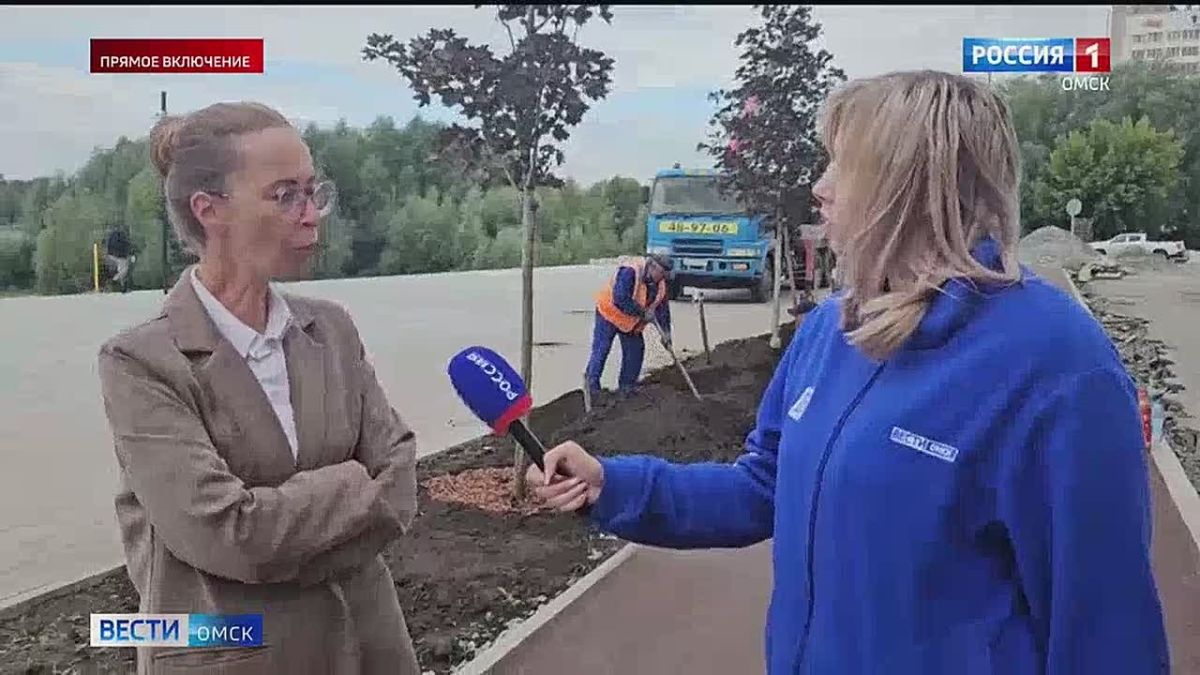 На пляже «Центральный-2» начали высаживать деревья