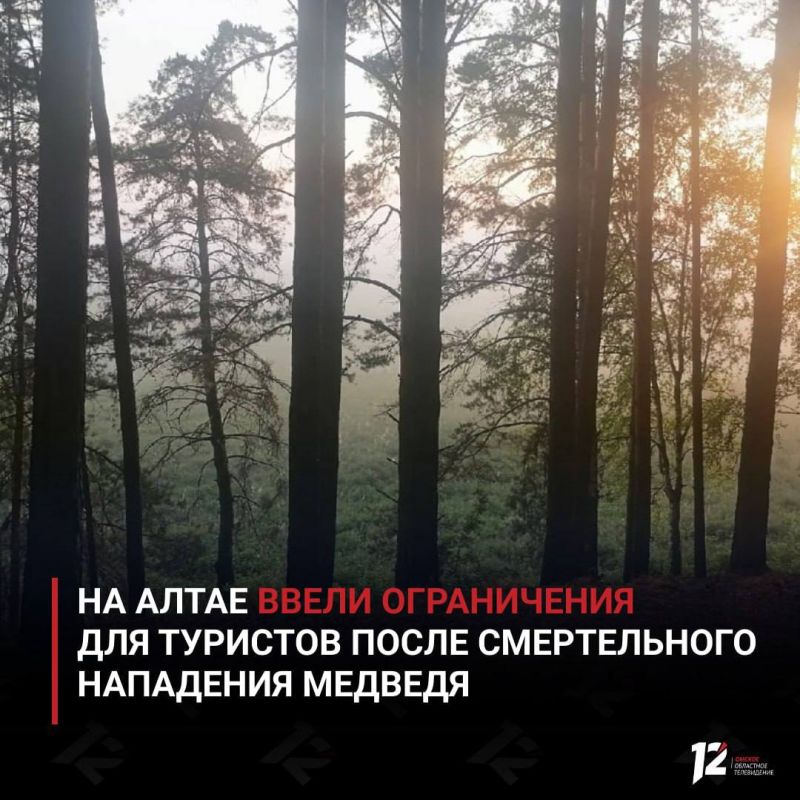На Алтае ввели ограничения для туристов после смертельного нападения медведя