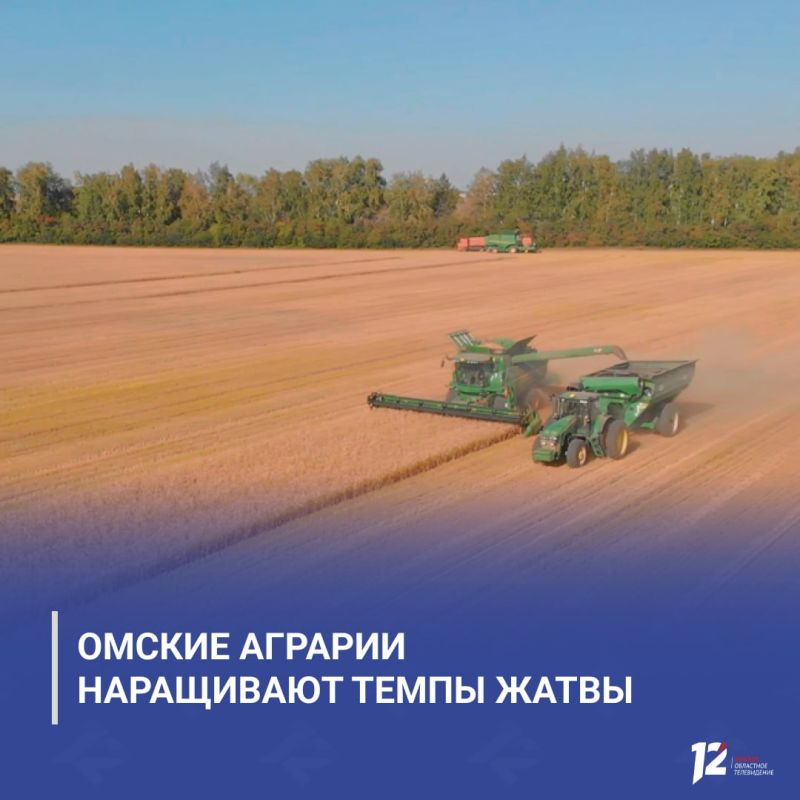 Виталий Хоценко: омские аграрии наращивают темпы жатвы