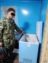 Вступил в силу приговор за незаконную охоту на двух лосей в Тевризском районе