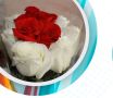 � ����� ���������� ������� ������ � ������� ������ �������� � �����
